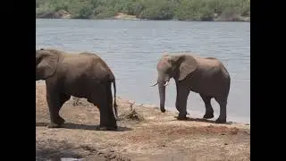 Mosi-Oa-Tunya National Park