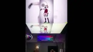 Sakura time-lapse