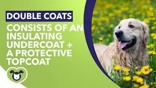 DoubleCoat