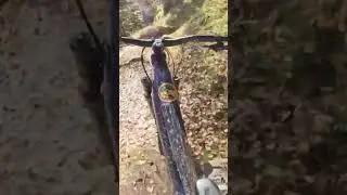 #pov #mtb #automnride #endurobike #mountainbikeschool