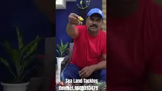 Real warrior Frog sea Land Tackles