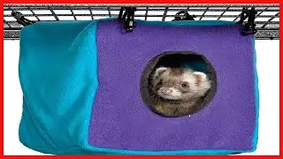 Ferret Nation Cozy Cube for Ferret Nation & Critter Nation Small Animal Cages  Measures 8 5L x 8 5W