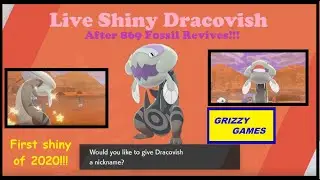 LIVE!!! Shiny Dracovish after 869 Fossil Revives! (Full Odds)