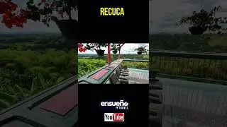 As&iacute; es el recorrido por la Cultura Cafetera