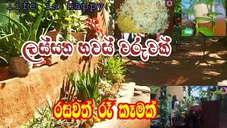 ලස්සන හවස් වරුවක් .රසවත් රෑ කෑමක්.👌🤗day vlog .