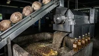 Inside the Coconut & Almond Oil Factory &ndash; Full Process How Million-Dollar Hair Oils Are Made