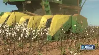 'Farm country is hurting right now': Time running out for a new farm bill