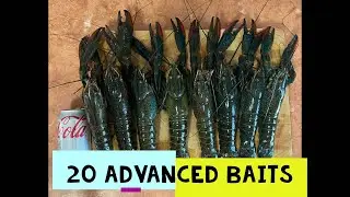 RED CLAW YABBIES 20 ADVANCED BAITS FOR BEST RESULTS CATCHING RED CLAW IN QUEENSLAND YABBY FISHING