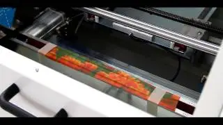 Gilding Machine - Photostory - Ien Industrie