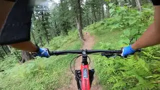 Manali Trails ( Flyan Village Trail)