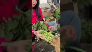 Secret of the fresh organic vegetables #shorts #fyp