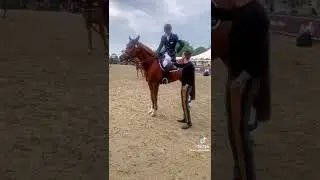 LIAM HAS A HORSE?! &copy;:@joe_stockdale he just got cooler #liampayne #payno #hehasahorse #1d