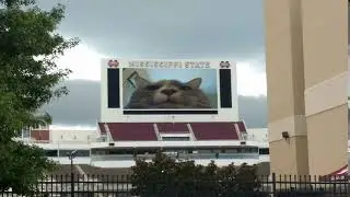 Ava Has Taken Over MSState.