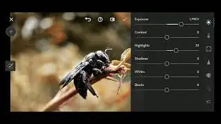 lightroom 5.3 update version tool