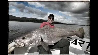 Three Monster Cob/Mulloway in two days: Breede River: Cob 