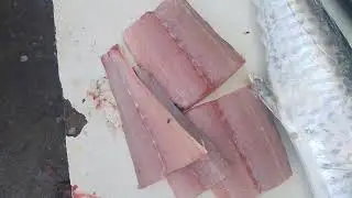 A great Surmai fish today Tell 03002673318 what's app number 