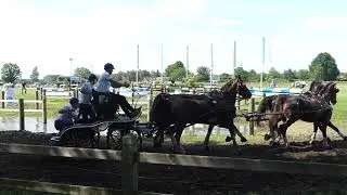 GEERTS Glenn, BEL, DVI Valkenswaard, CAIO4# H4, Marathon Ob8, 01 06 2019