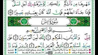 سورة يس  / حمزة الجزائري
