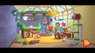 (Event) Full Cat House at Homescapes