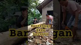 Bantengan kayu boloo #bantengan #bantenganmalang #mberot #kalapan #diycrafts #senibudaya #asikleeee