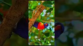 Earth Cinematic Video | HD Cinematic Video of Earth || Beautiful Earth cinematic