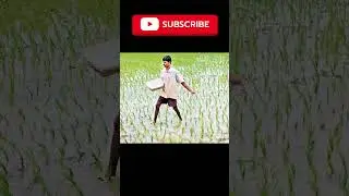 తెలంగాణలో రైతులకు ఎరువుల కష్టాలు | టోకెన్ విధానంలో గ్రామపంచాయతీల్లో ఎరువుల పంపిణీ #trending #viral
