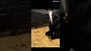 What different horses have taught me 💗 #fypシ゚viral #horse #horseaddict #pleasedontletthisflop