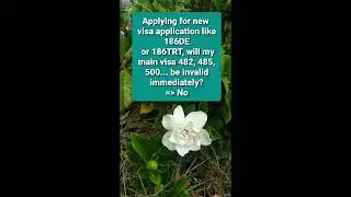 Will my main visa invalid immediately if I apply for new visa application?