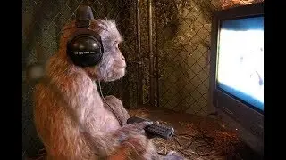 Cute Monkeys Part #55 - Are Baboons watching TV & using Tablet is a Method of Domesticating them?