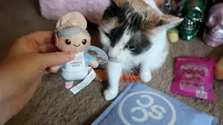Набор &laquo;Битва за еду&raquo;! | Клуб избалованных кошек | Сентябрь 2025 г.
