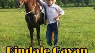 Gelman Medina - Rindale Gavan