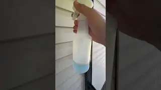 DIY spider repellent! #dothingsyoudontwanttodo #automobile #diy ￼