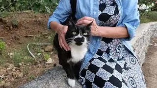 Dali the cat loves everyone