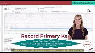 Sales Manager 03 17 Record Primary Keys 2025 12 31 BA