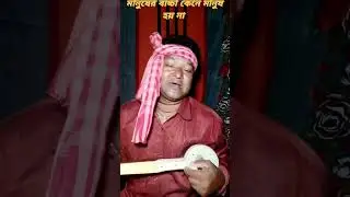 মানুষের বাচ্চা কেনে মানুষ হয় না রে #shorts #reels #video #viralvideo #song