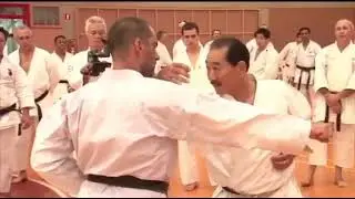 Kumite demo #2Palm heel block and wrist or crane head counter