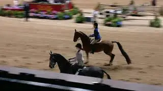FASH 2021 Horse Show - Saddle and Bridle Hunter Seat Classic - My Easter Bunny