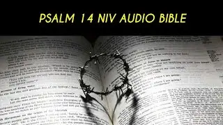 PSALM&nbsp;14 NIV AUDIO BIBLE