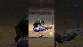 K9 Dog Saved A Cop With CPR