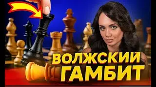 Volga Gambit or Benko Gambit | Black's answer on D4