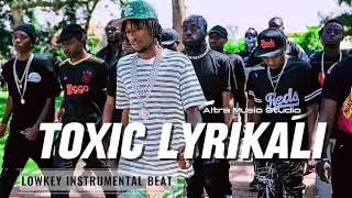 Toxic Lyrikali &ndash; LOWKEY (Instrumental Beat)