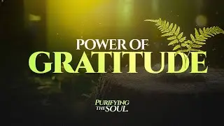 Power of Gratitude || Purifying the Soul