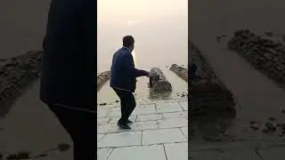 Daimond Harbour Dance video