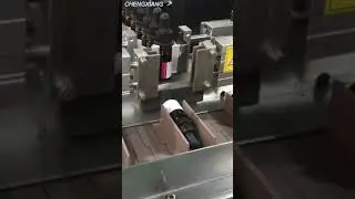 How to pack dropper bottle into carton???丨Cartoning machine