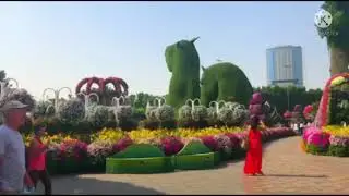 Dubai Miracle Garden II Dubai UAE 🇦🇪 IIUkong Channel11