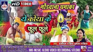 ये कोया के फूल फुले  Ye koya ke fool foole sona music Gondwana geet