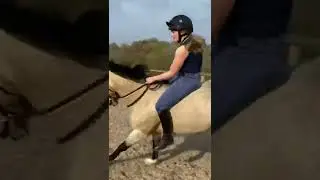 Bareback horse jumping