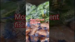 Mono filament fishing 🎣 net wholesale #youtubeshorts
