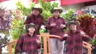 anillo de humo   el cuarteto imperial