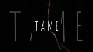 TAME @AQUA MANE @dahsum  @sevendahsplit  @k4stet #antigenre #trap #metal #tame